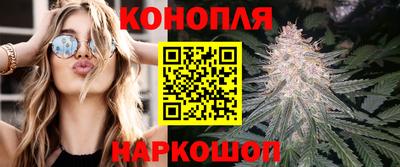 индика Бузулук