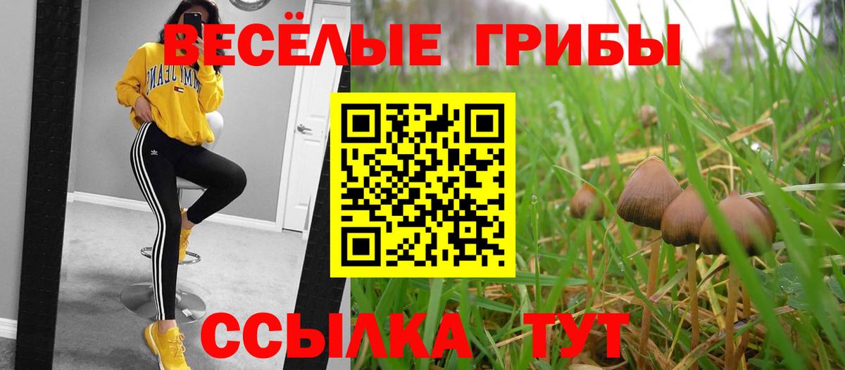 Галлюциногенные грибы прущие грибы Стрежевой