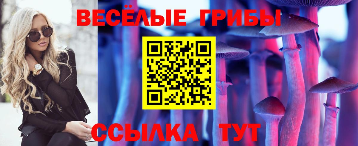 Стрежевой  Галлюциногенные грибы MAGIC MUSHROOMS  Вход с VPN 